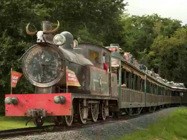 Wildlife Exprtess Train Animal Kingdom , Disney World, Orlando